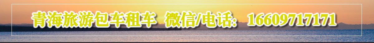 首页广告图
